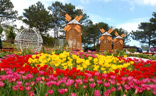 Городской парк цветов Далата – символ «города тысячи цветов» - ảnh 1